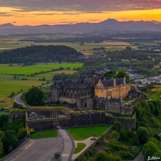 freddie barss tweet media