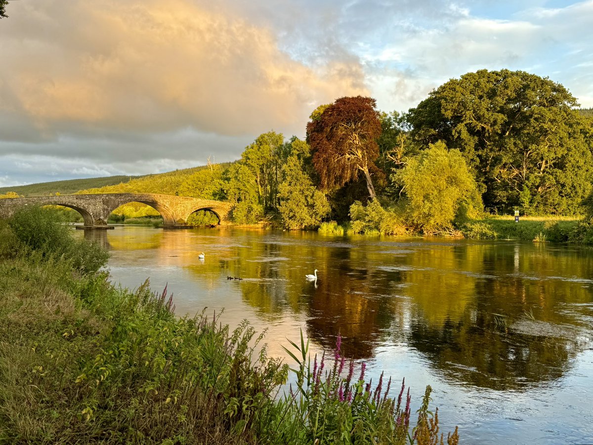 RonDaviesPhoto's tweet image. Last night the rain eased, the clouds lifted over the River Suir near Kilsheelan and the warm glow of the setting sun illuminated the landscape.
#SouthTipperary