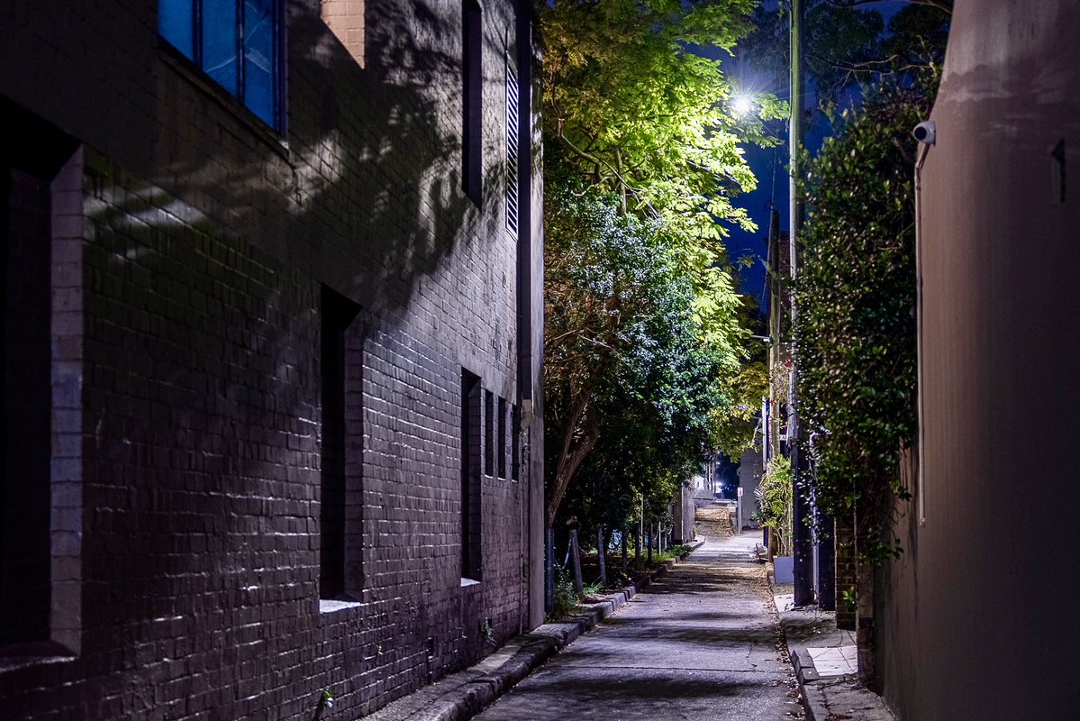 timritchie's tweet image. There is speculation the Collins Lane in Sydney’s Surry Hills was named after David Collins (1756-1810) who was the Lieutenant Governor of Van Diemans Land (first European name for Tasmania).
Collins died while serving in this role.