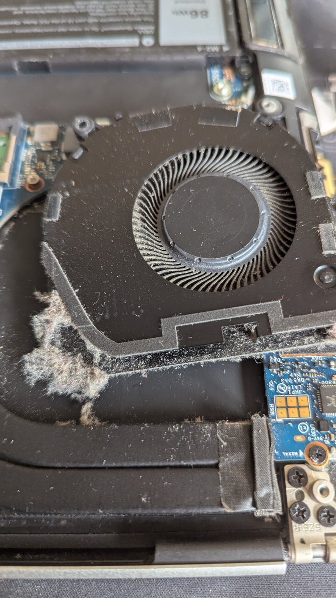 campbellm's tweet photo. I love my Dell XPS but it does require an annual clean. The fans are dust traps. https://t.co/2woG6cNeVD