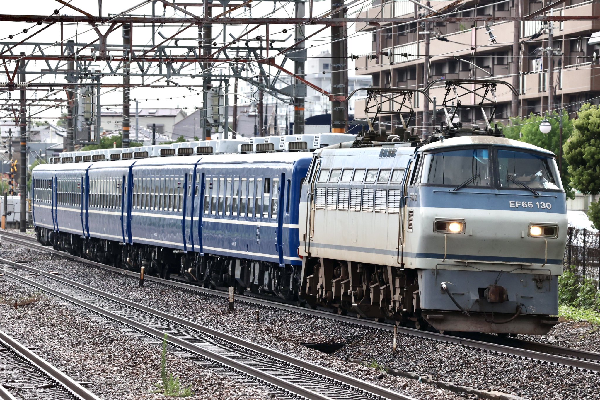 金象嵌入　時代　鉄地　つば　東さ6-0216① 金象嵌入 時代 鉄地 つば 東さ6-0216①