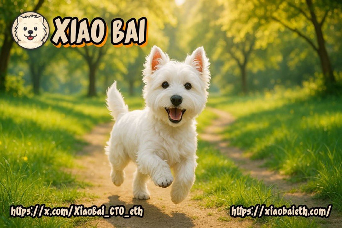 <a href="/kucoincom/">KuCoin</a> $Xiaobai Manyus Brother 1.6mil 1700 Holders 1600 TG members . Manyu Fam making some noise in this space 🐾❤️🧨