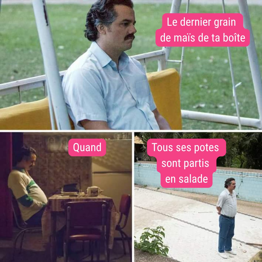 Ce moment où il ne reste qu’un grain… Abandonné. Incompris. Alors que tous ses potes sont partis en salade... 🌽

Force à toi, petit grain. T’étais pas prêt pour ce monde ! 

#graindefolie #cetepimepate #epidemais #mais #salade