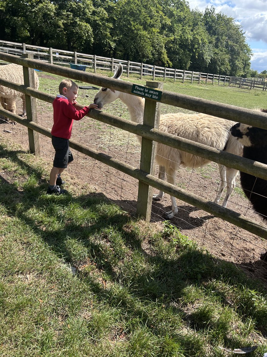 staugustinesNG3's tweet photo. Our day out at the farm 🥰
#EYFSAtStA’s https://t.co/2M13Y7T7EC