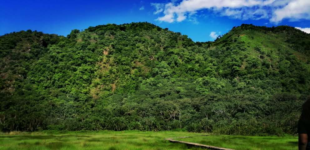nyanasafaris's tweet image. 🔥 Semuliki National Park & Sempaya Hot Springs
2 Days | Forest walk + Hot Springs + Birdwatching
Nature’s mystery in Uganda’s lowlands!
📞 Book your trip: +256 702 674 064
#ExploreUganda