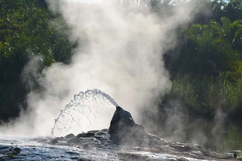 nyanasafaris's tweet image. 🔥 Semuliki National Park & Sempaya Hot Springs
2 Days | Forest walk + Hot Springs + Birdwatching
Nature’s mystery in Uganda’s lowlands!
📞 Book your trip: +256 702 674 064
#ExploreUganda