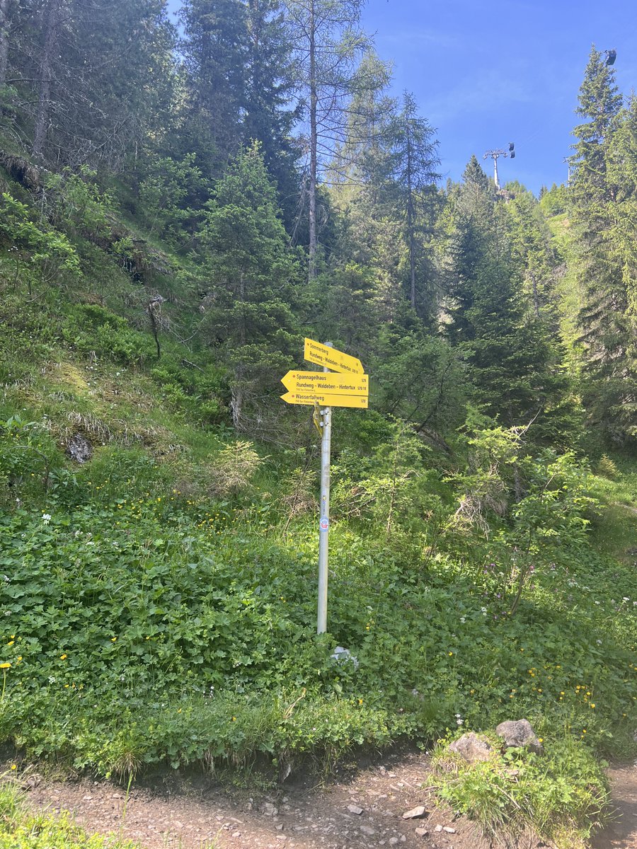 madonskis's tweet image. So many options.. #fingerpostfriday #hintertuxglacier #zillertal #austria #wanderweg