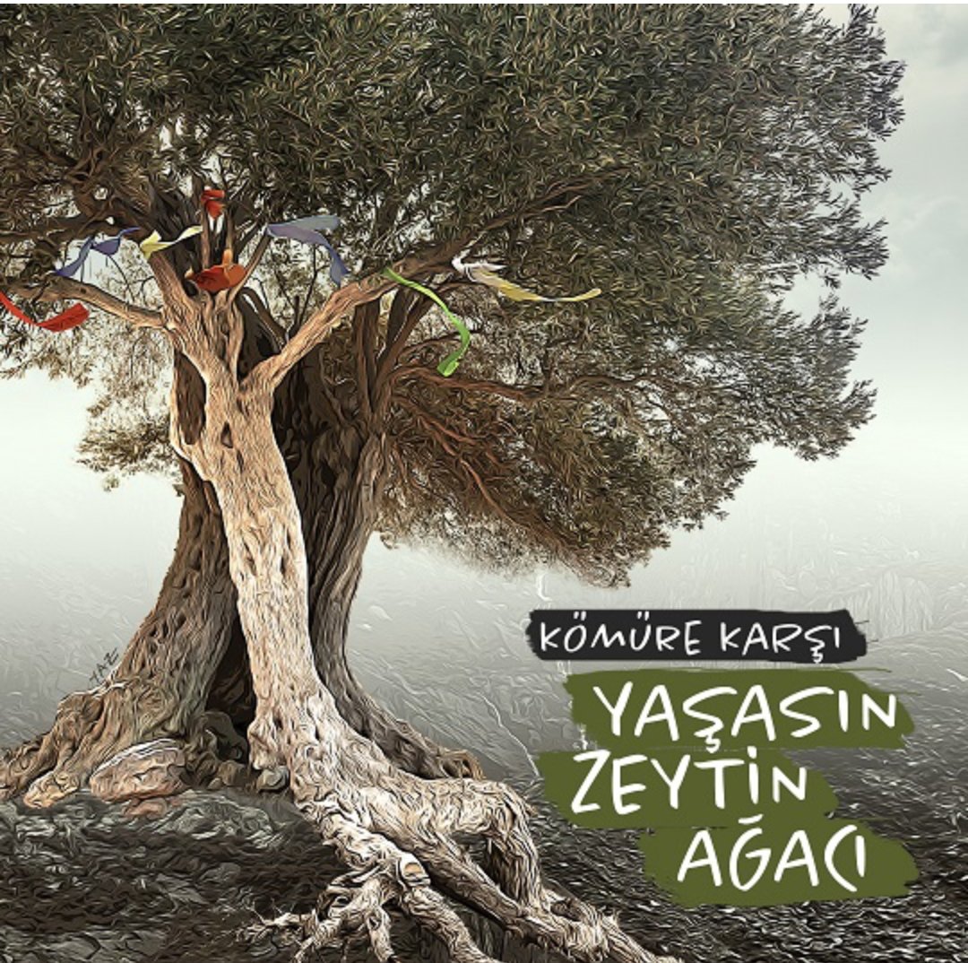 #İşgalYasası teklifinin 11. maddesi Meclis Genel Kurulu'ndan geçti. Böylece ilk etapta Milas İkizköy ile komşu köyler Karacahisar ve Çamköy'de 1500 bin dönüm zeytinlik alan yok edilecek. 45 bin zeytin ağacı "taşıma" yalanı ile katledilecek.
+

🖌️görsel tsarım: <a href="/yazs/">Yasemin SayıbaşAkyüz 🦋 @yaseminsakyuz.bsky.social</a>