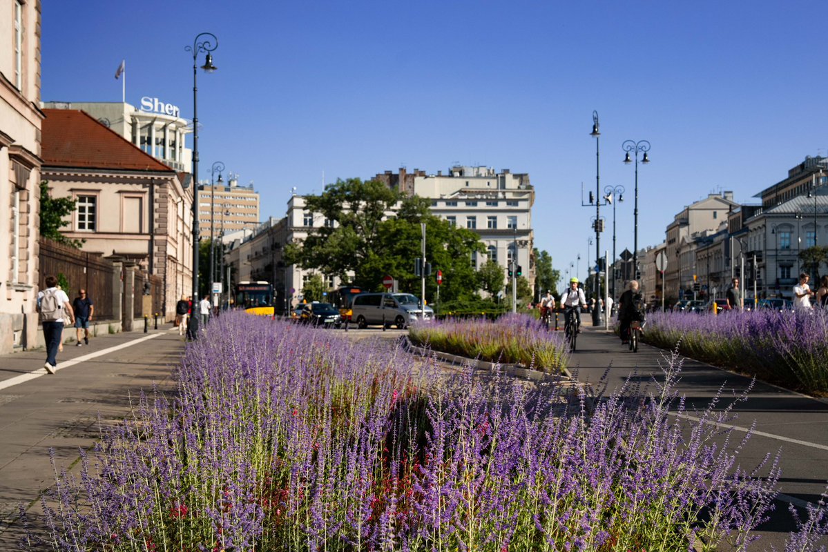 trzaskowski_'s tweet image. Tak rozkwita Warszawa 😍
Jakie jest Wasze ulubione zielone miejsce w Warszawie?