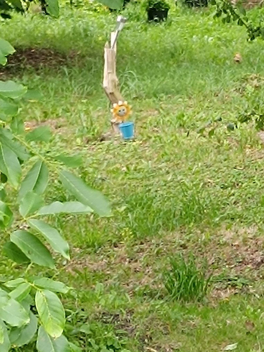 Is that flowey