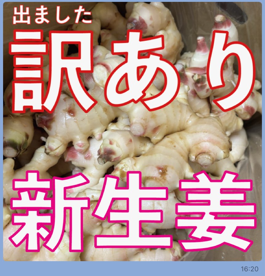 訳あり新生姜出ましたー

ginger-factory.net/products/detai…