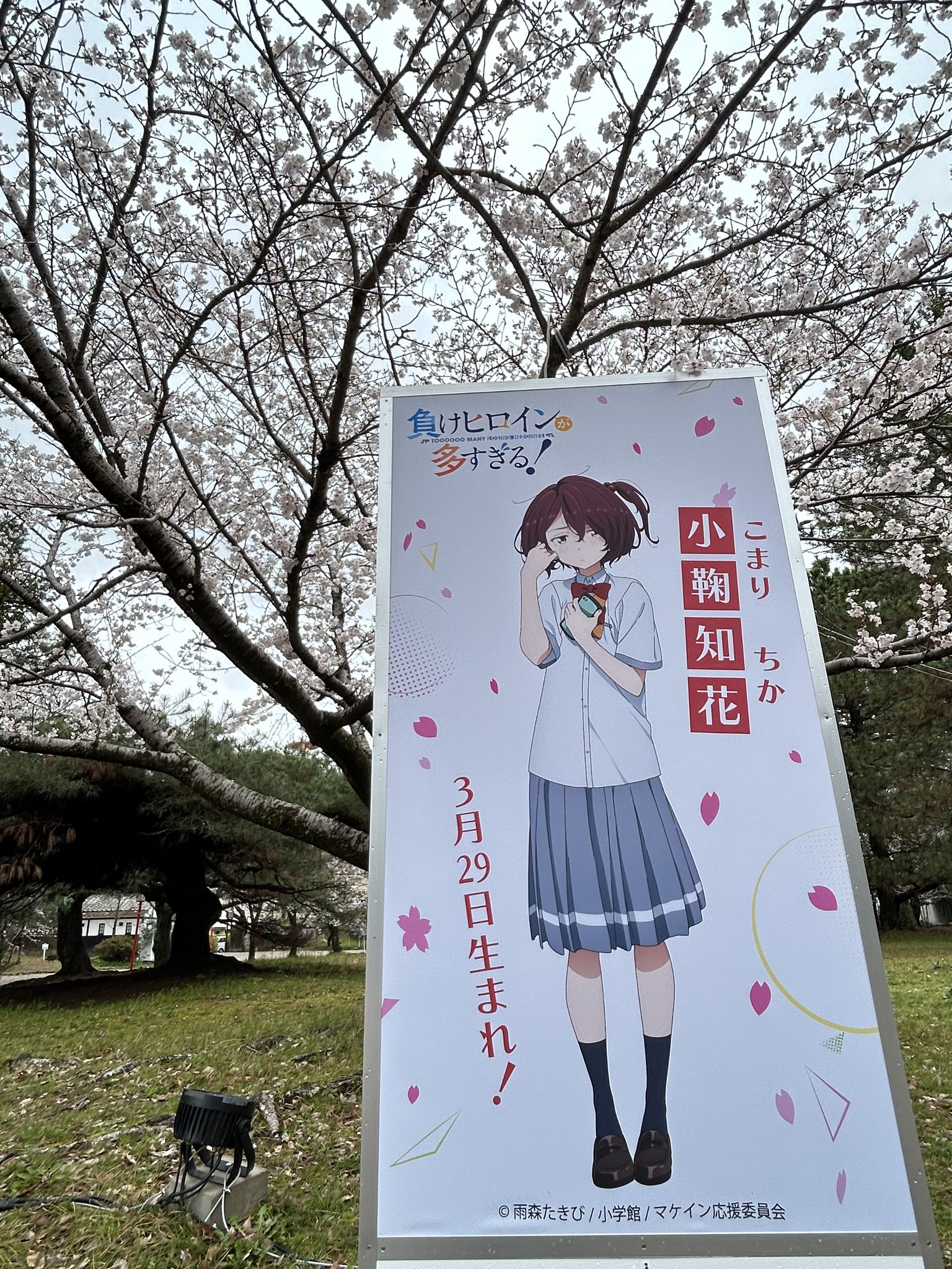 一昨日当たってまだ綺麗です！良かったら買ってください！ この世界、わたしに都合がいいようです！ | 書籍情報
