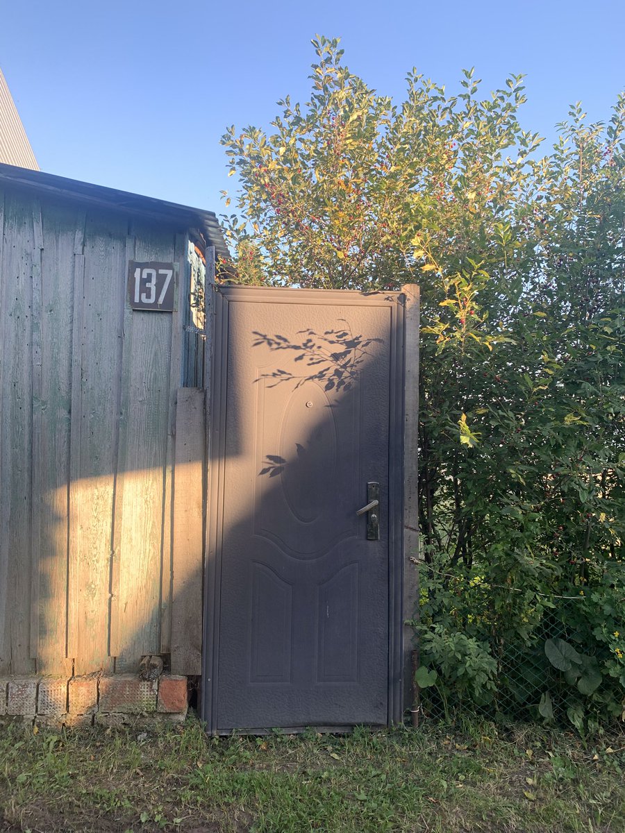 lslamovanna's tweet image. #crap