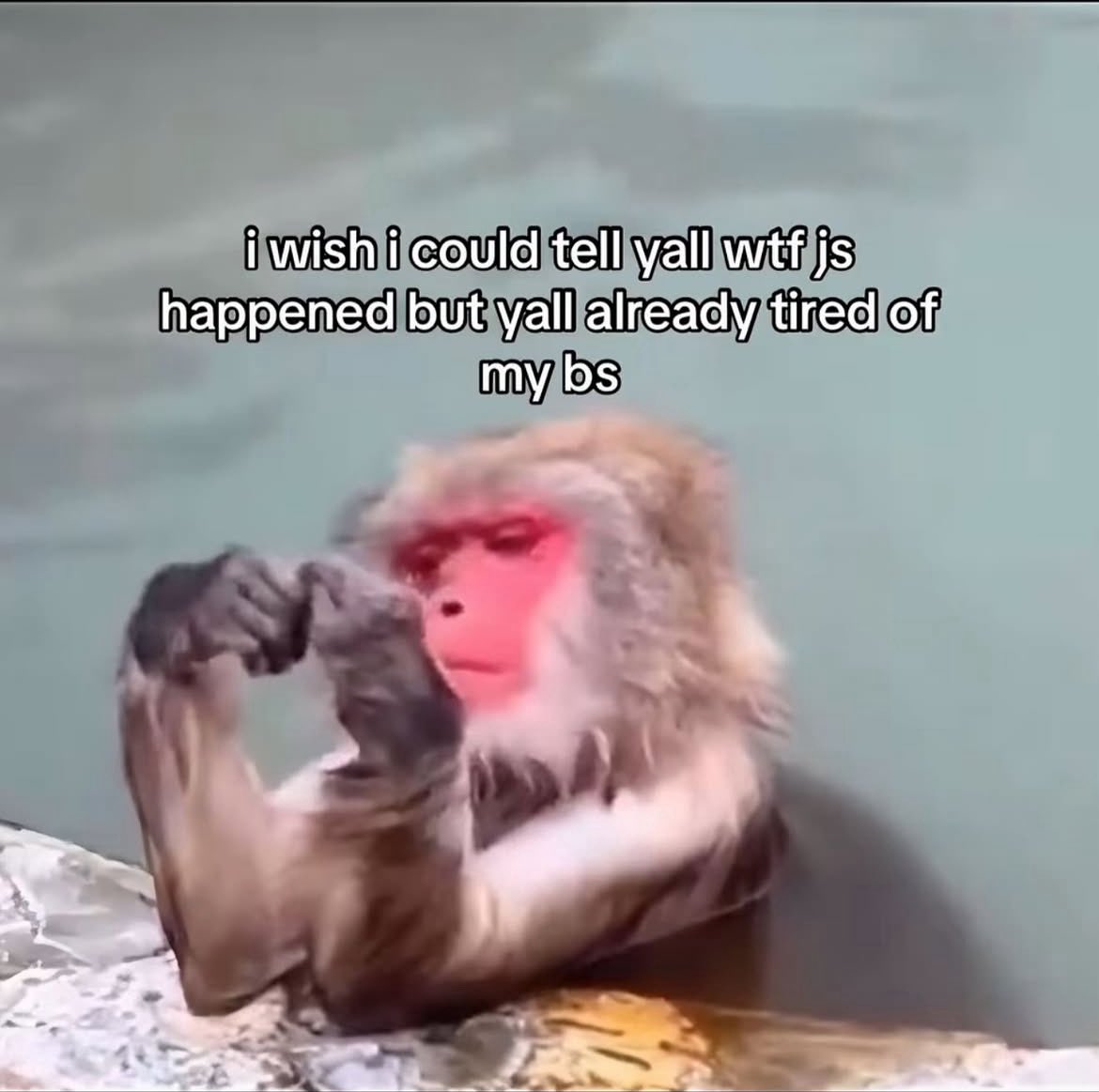 allichannnn's tweet image. me whenever i tell ppl i’m getting sober again…
