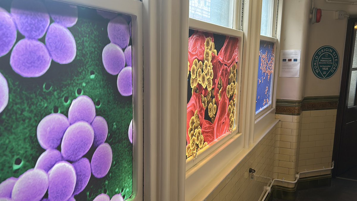 A young visitor from Seoul thought the Alexander Fleming Laboratory Museum “feels like a Time Machine”