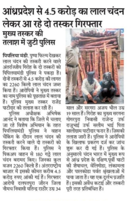 mohdept's tweet photo. मंदसौर: आंध्रप्रदेश से 4.5 करोड़ का लाल चंदन लेकर आ रहे दो तस्कर गिरफ्तार
👉मुख्य तस्कर की तलाश में जुटी पुलिस
@DrMohanYadav51 @DGP_MP @mandsaur_sp
#JansamparkMP #लाल_चंदन #NEWSMP #POLICEMP https://t.co/TvDb7k48Rt