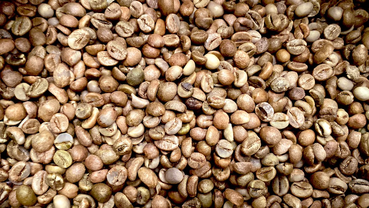 Muganzisecure's tweet image. For the last few years that I have been in the coffee  farming business there are a lot of things I have learnt but the two most important ones are be consistent and build a circle of trusted people around you those two principles are key in the coffee business
#YouthInCoffee