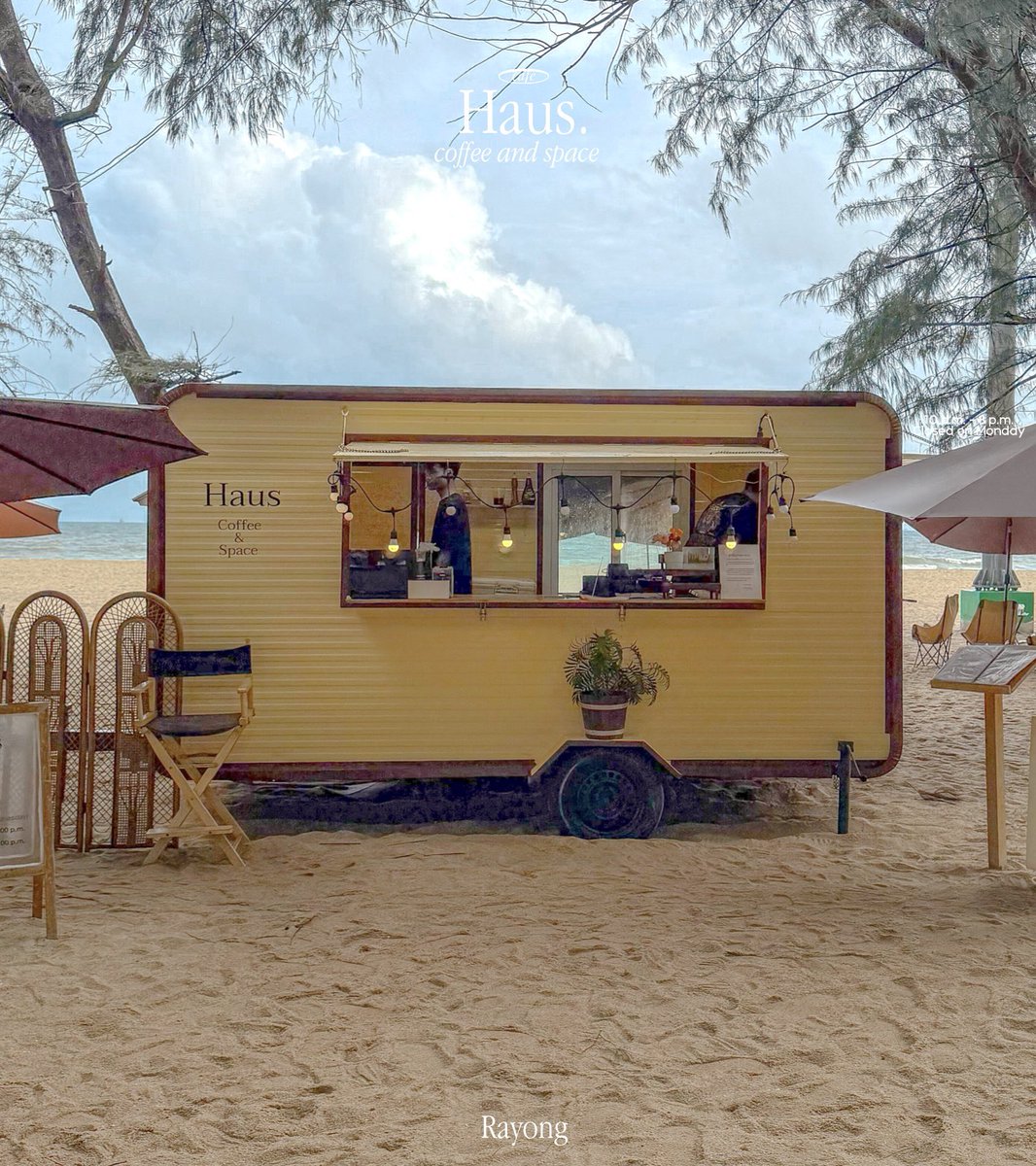 𝐒𝐮𝐦𝐥𝐞𝐞 🏷 tweet media