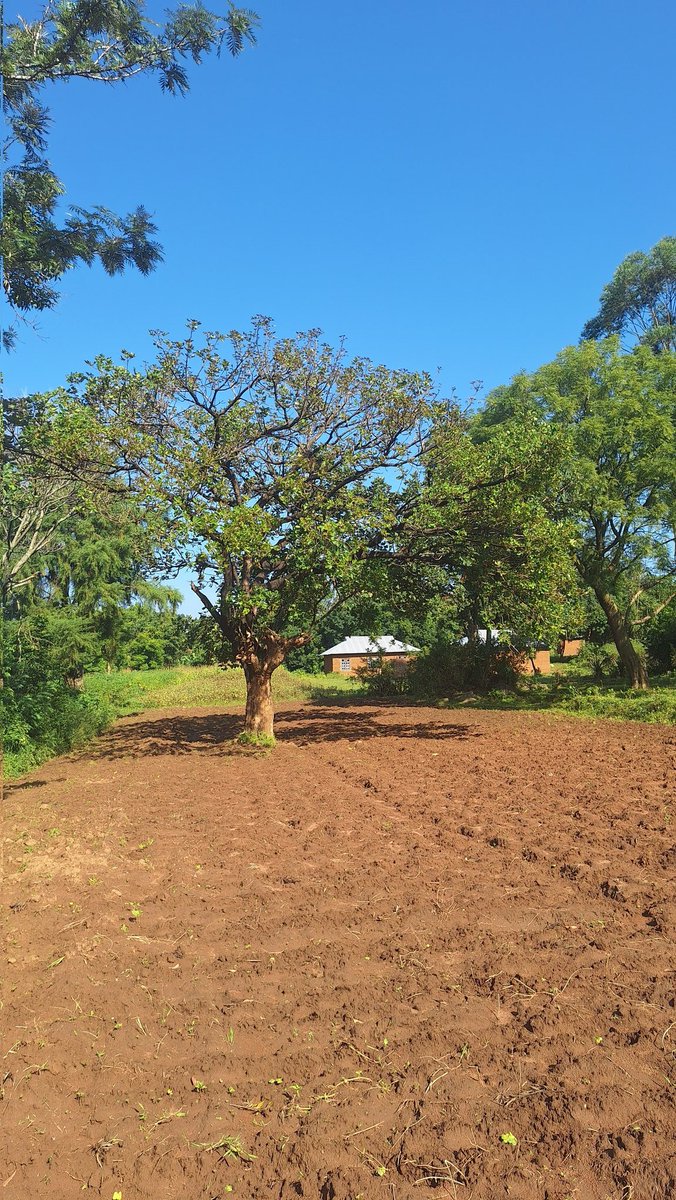 HouseDesignsKe's tweet image. Malaba Border, we are about to happen!