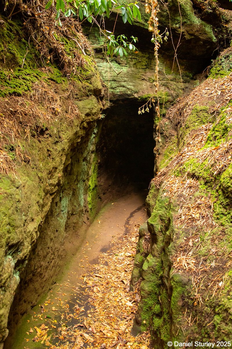 #Shropshire UK, 4 more from my #photography trip to the #magical Hawkestone Park Follies recently, here are some from the #caves and Grotto 😃