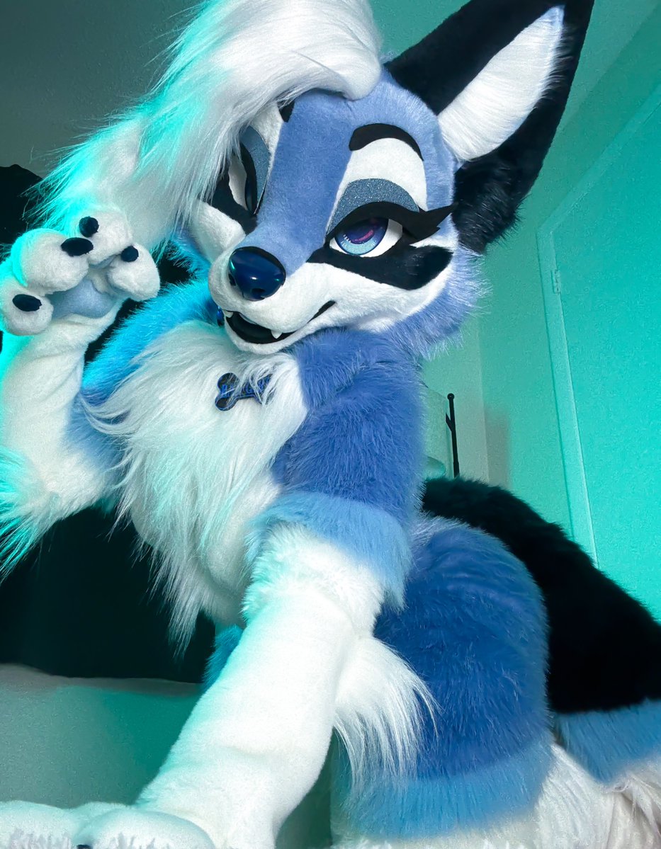 IceyFoxx_'s tweet image. On the prowl~ 😈

#FursuitFriday