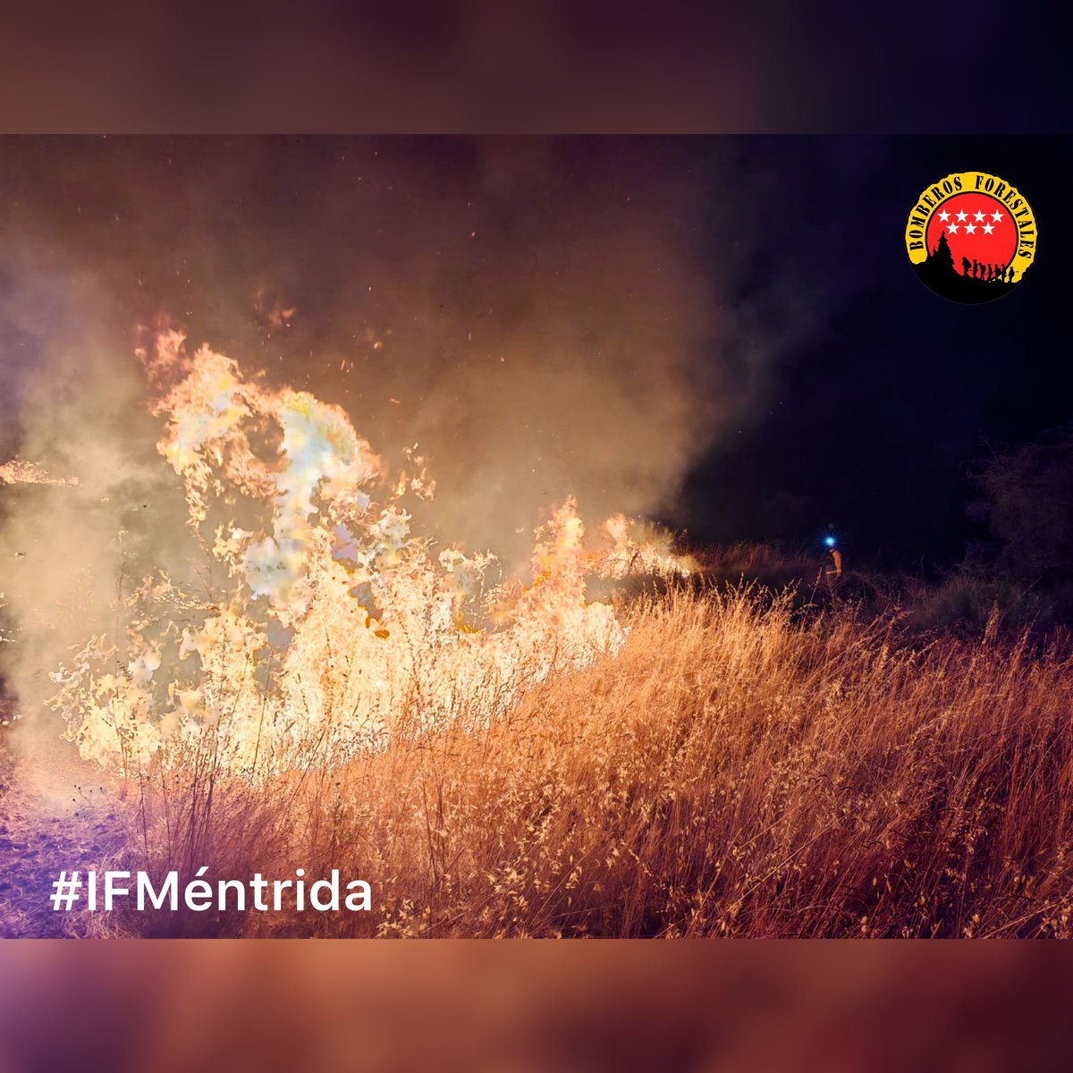 BBFFMadrid's tweet photo. Hemos seguido trabajando toda la noche y durante el día de hoy se incorporan más medios de #BomberosForestalesCM al #IFMéntrida. 

No ha sido una noche fácil para los medios. 

📹 📸Fotos de anoche y  un video trabajando ayer con la @brif_iglesuela. https://t.co/3LGuHhU9q8