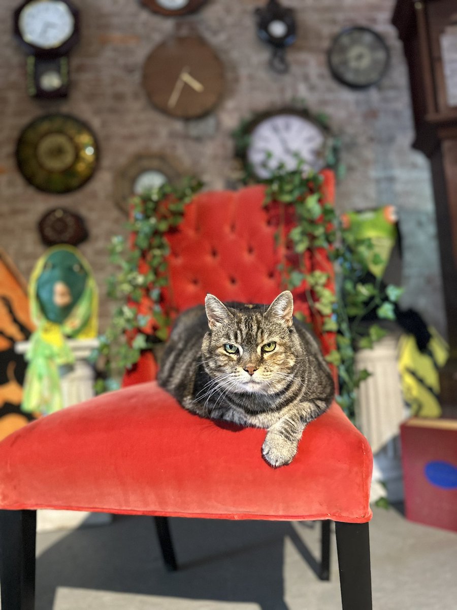 Stetzism's tweet image. How do I explain this when someone asks what are you working on?