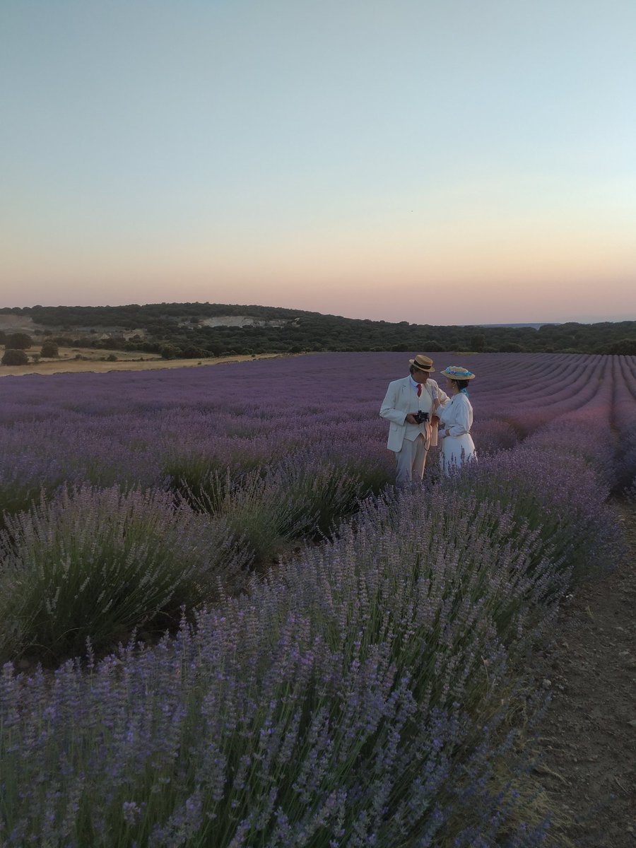 Anacronicos's tweet image. Recreación histórica en los campos de lavanda ambientada en 1900.