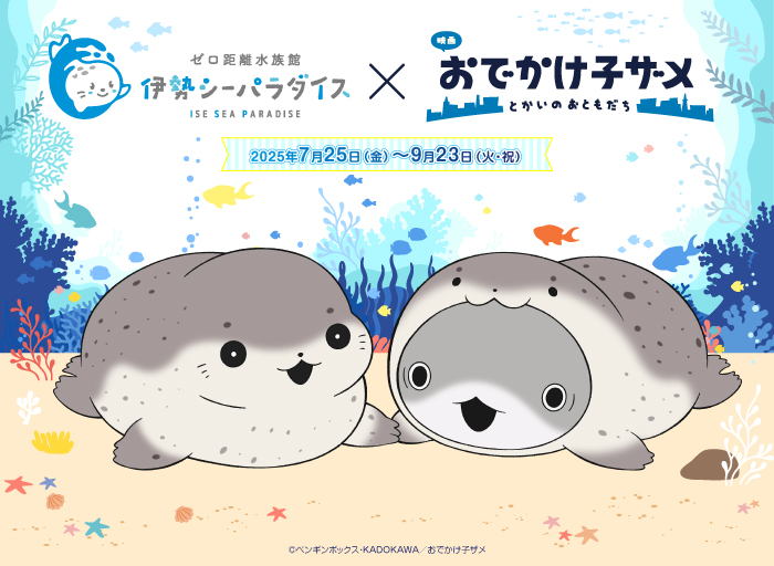 kozame_info's tweet photo. ✰✰映画 #おでかけ子ザメ 
　　 とかいのおともだち✰✰

 #伊勢シーパラダイス のコラボ決定🦭✨

⟡コラボビジュアル公開🦭🦭
⟡8月2日&amp;3日はグリーティング&amp;ミニ縁日実施!
⟡コラボフードや年間パスも展開予定

続報をお楽SEAみに✨

▼詳細▼
https://t.co/dhTV4TfIDt https://t.co/nZAHHhyZgR