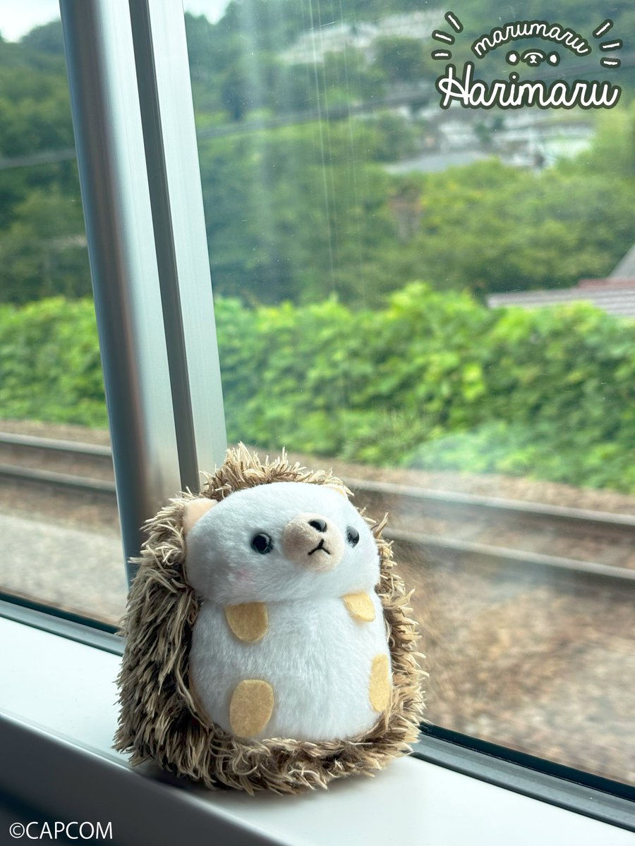 ooHARIMARU's tweet image. 3れんきゅう、みなさんのごよていは きまっていますか？

ぼくはだいしぜんに ふれてきます！🌳✨

＃はりまる🦔