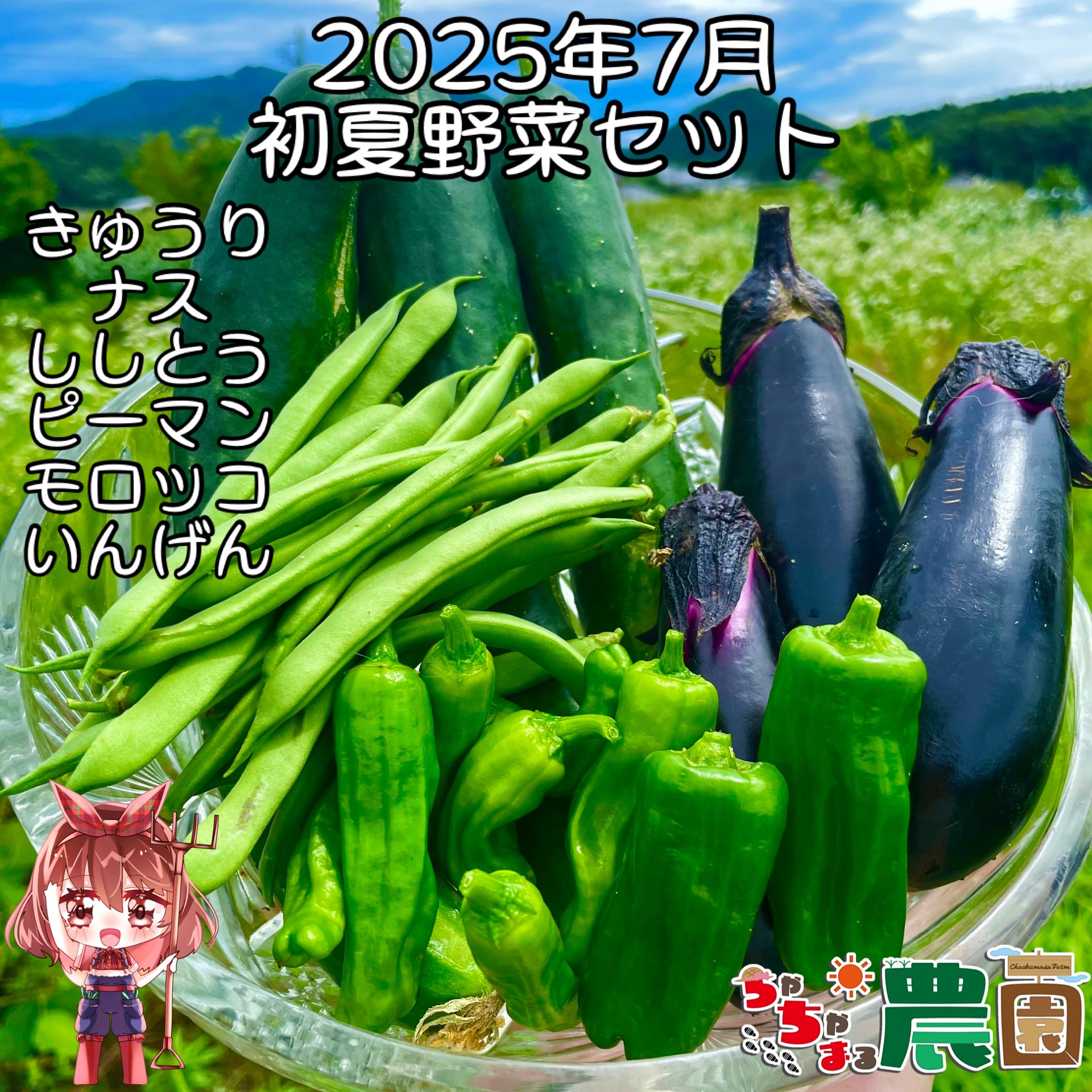 totomon様野菜セット totomon様 野菜セット 果物追加 木なり完熟トマト3 - メルカリ