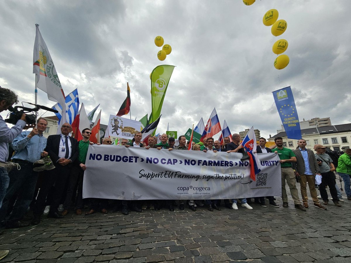 GAIA EPICHEIREIN marched - along with <a href="/COPACOGECA/">COPA-COGECA</a>,
<a href="/FWAgriculture/">Fédération Wallonne de l'Agriculture</a> &amp; other EU #farming organizations - in Brussels  🇧🇪 on 16/7, opposing current CAP approach

Greek article: c-gaia.gr/i-gaia-epichei…

#GAIAΕΠΙΧΕΙΡΕΙΝ #GAIAEPICHEIREIN #COPACOGECA #FWA #CAP #CommonAgriculturalPolicy