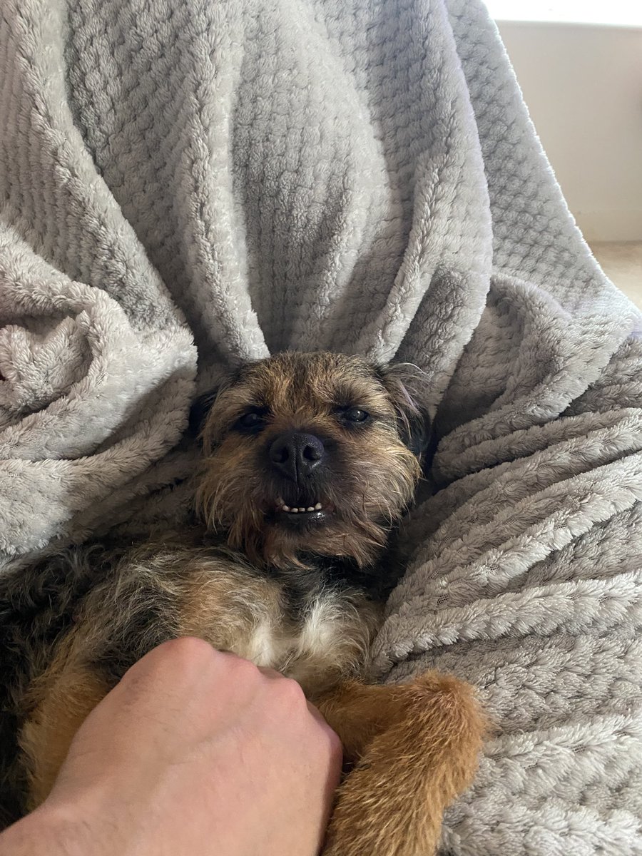 willowborder's tweet image. Morning Pals and staff. I got a busy day today so slow replies 🥵🤣

#BTPosse