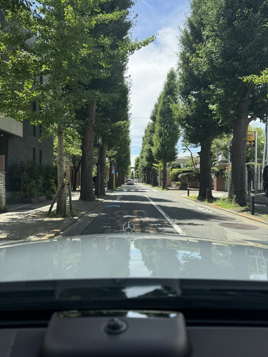 某所がお似合い