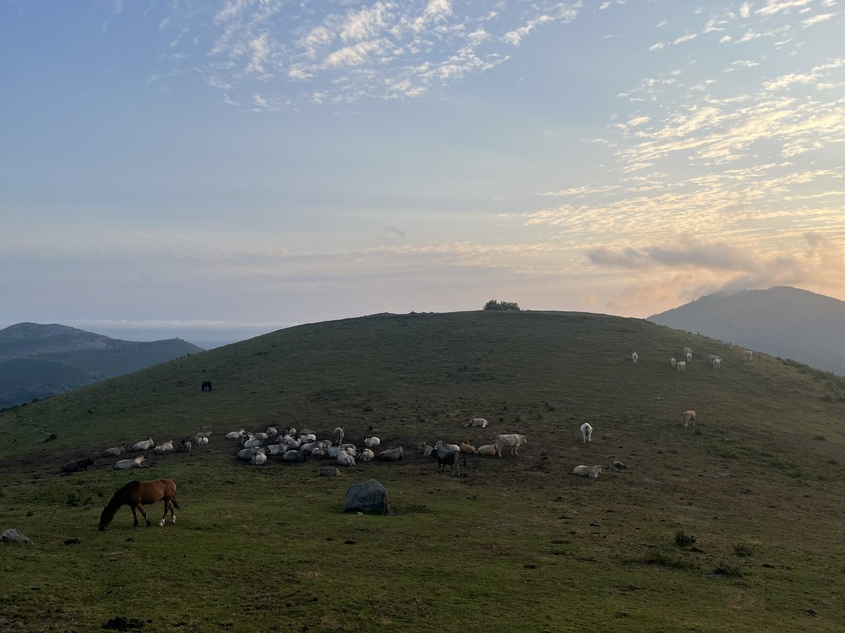 jwhitey98's tweet image. Morning benefits of a Tour de France TT day in the Pyrenees.