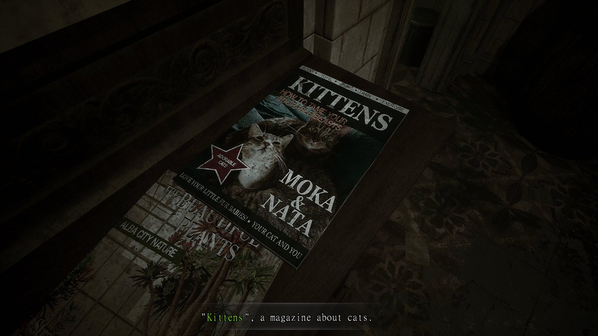 DevMoonGlint's tweet image. Probably the funniest part of our job!
Laura did an amazing job filling the game with lore, details and easter eggs!