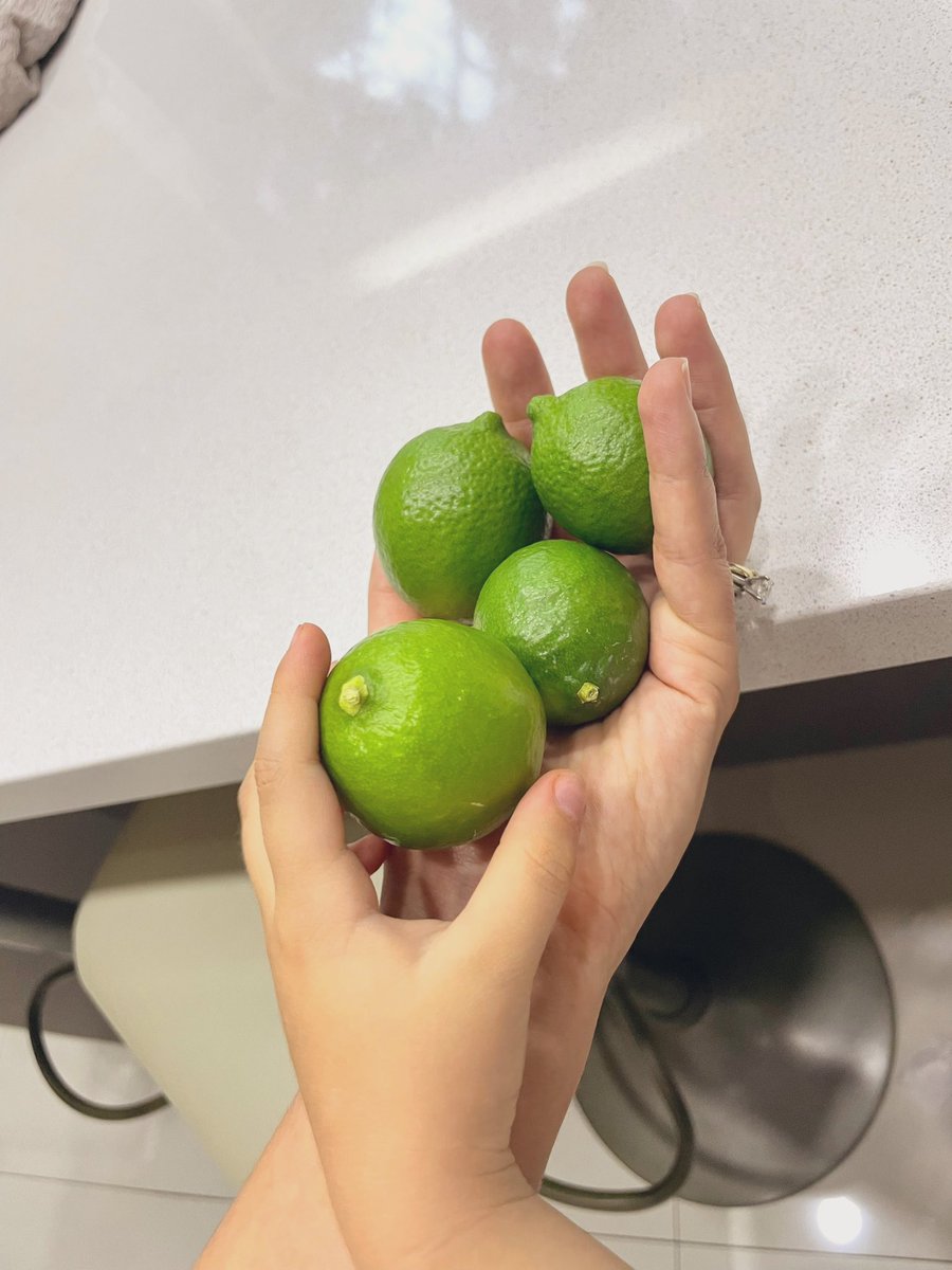 Nuestra primer cosecha de limones 🍋‍🟩

Y “mamá, hacemos limonada” es lo mas bonito del día