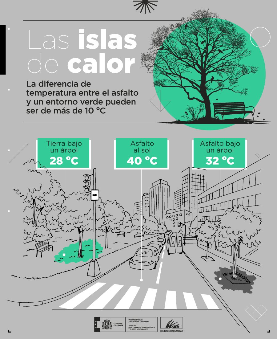 La vegetación en zonas verdes juega un papel clave para reducir la temperatura en las ciudades, gracias a la sombra que ofrecen y a la evaporación del agua que contienen 🌳💦

🌡️ La diferencia térmica entre el asfalto y un espacio verde puede superar los 10 ºC.