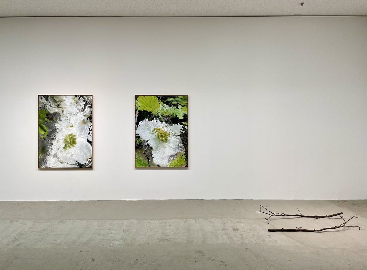 埼玉県立近代美術館「Nerhol」展
これまでの制作を振り返った千葉市美での個展から一年。Nerholの思索がさらに深化したアウトプットがここに。
Nerholが2人であること、作家と鑑賞者、見るものと見られるもの、その間にある埋めがたい"誤読"の可能性をポジティブに開く良質な展示。
超おすすめです🐟💨
