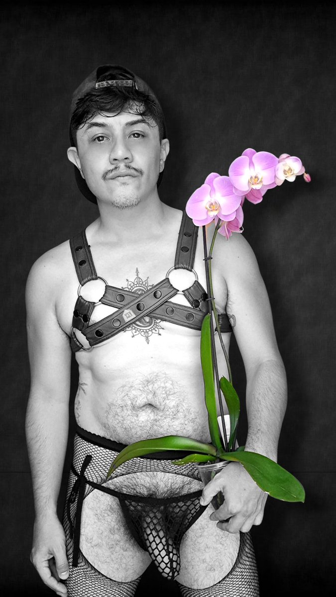 Burro_lechero🍆 (@ladithoguerra) on Twitter photo Entre lo rudo y lo cursi... prefieres verga o flores?
#verga #vergadura #vergatiesa #vergapeluda #vergapreñadora #vergasgruesas
<a href="/Hot_PoolParty/">🔥 HOT POOL PARTY CDMX 🔥</a> Entre lo rudo y lo cursi... prefieres verga o flores?
#verga #vergadura #vergatiesa #vergapeluda #vergapreñadora #vergasgruesas
<a href="/Hot_PoolParty/">🔥 HOT POOL PARTY CDMX 🔥</a>