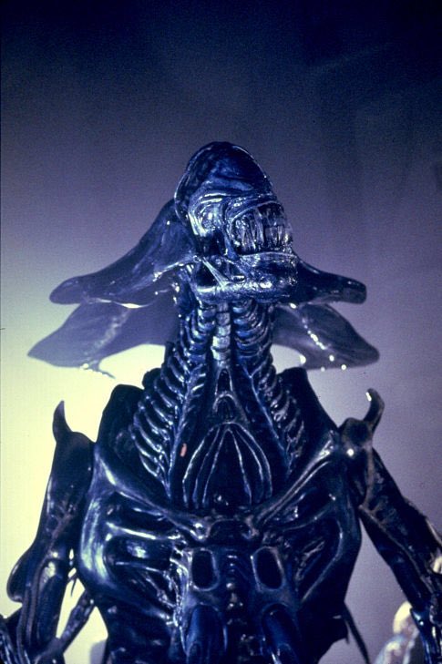 bkontheair's tweet image. Happy anniversary to #Aliens July 18, 1986 🎞️ #SigourneyWeaver #MichaelBiehn #JamesHorner #JamesCameron #xenomorph #Alien