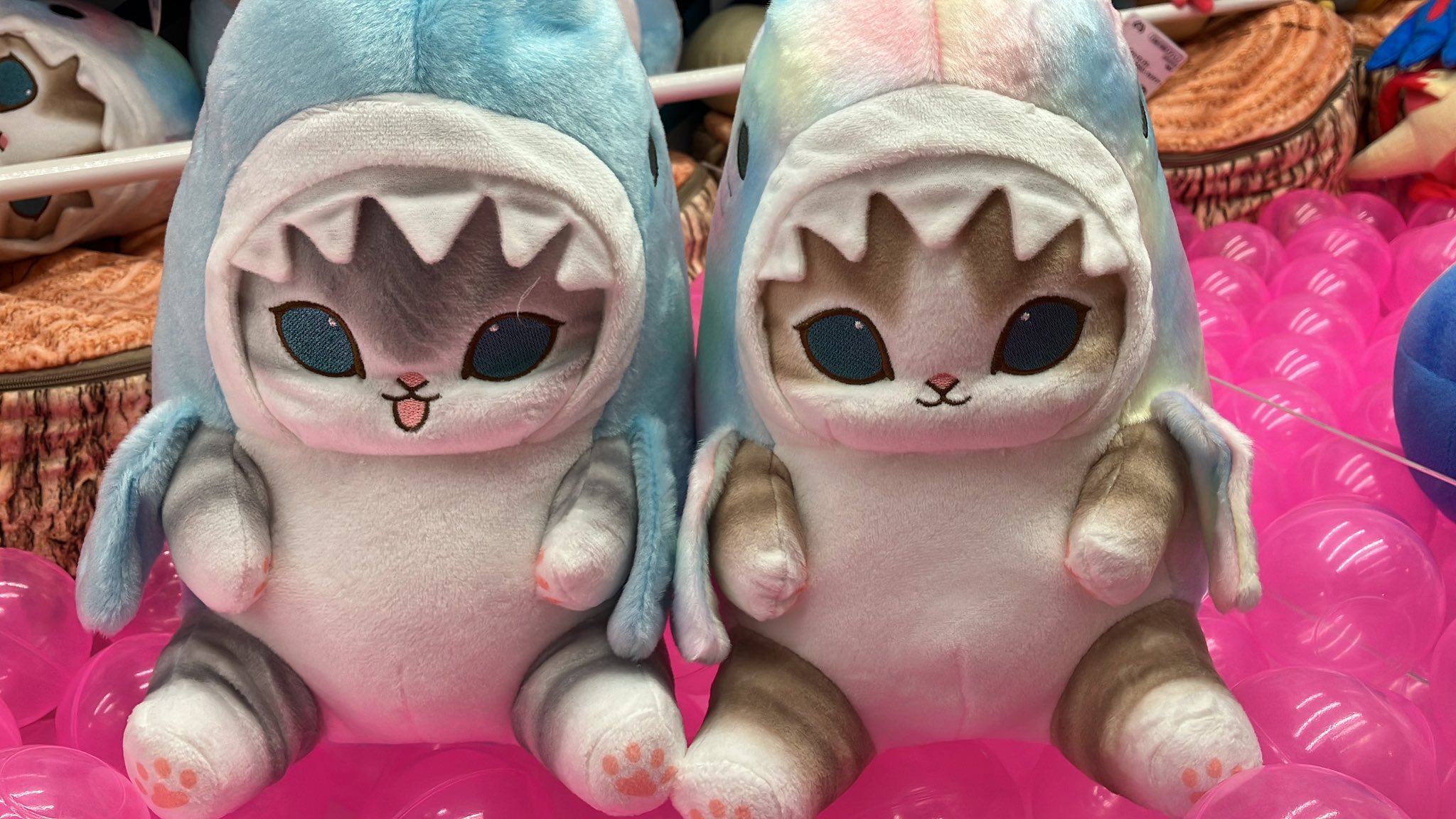 ソラネコ　ぬいぐるみBIG Amazon.co.jp: ツチネコ BIG ぬいぐるみ 45cm 猫 つちねこ
