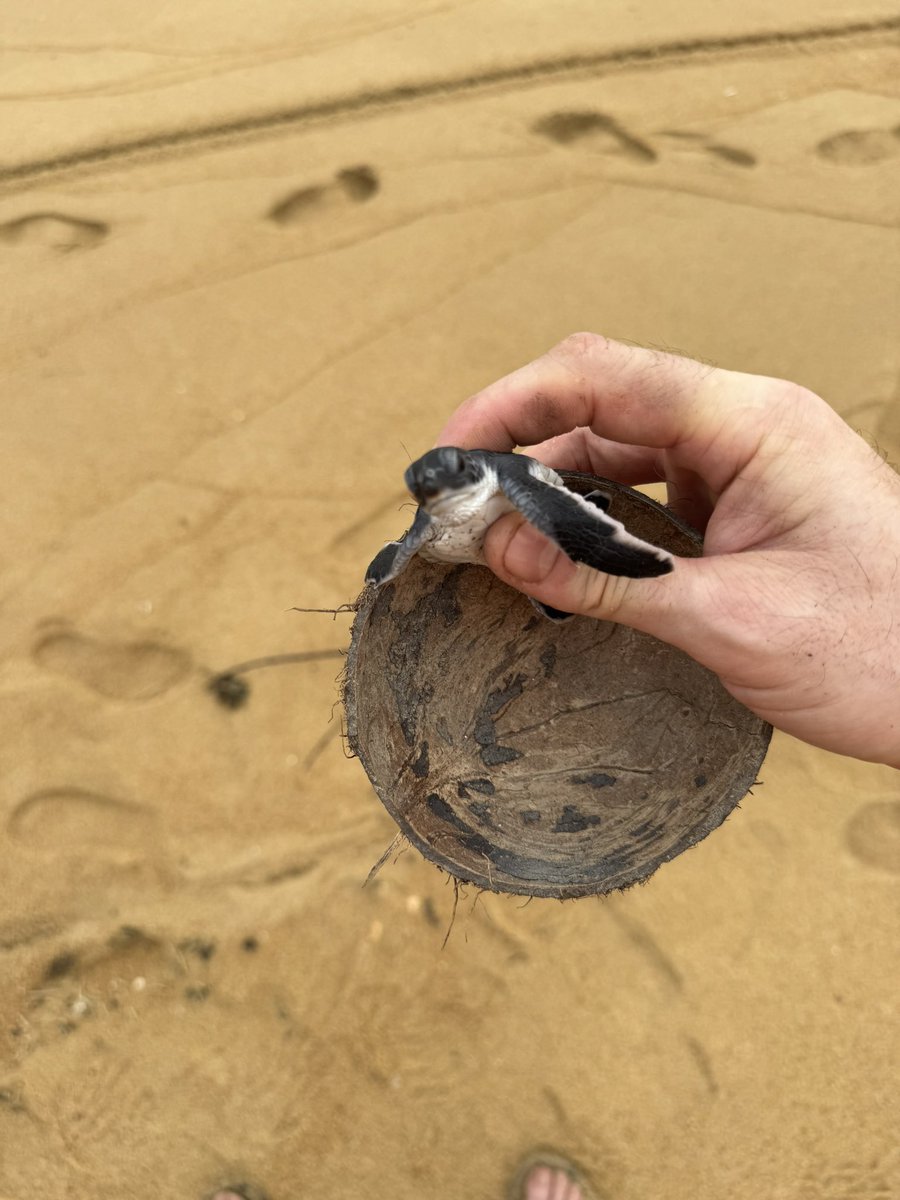 Whitburn Sixth Form 💙 tweet media