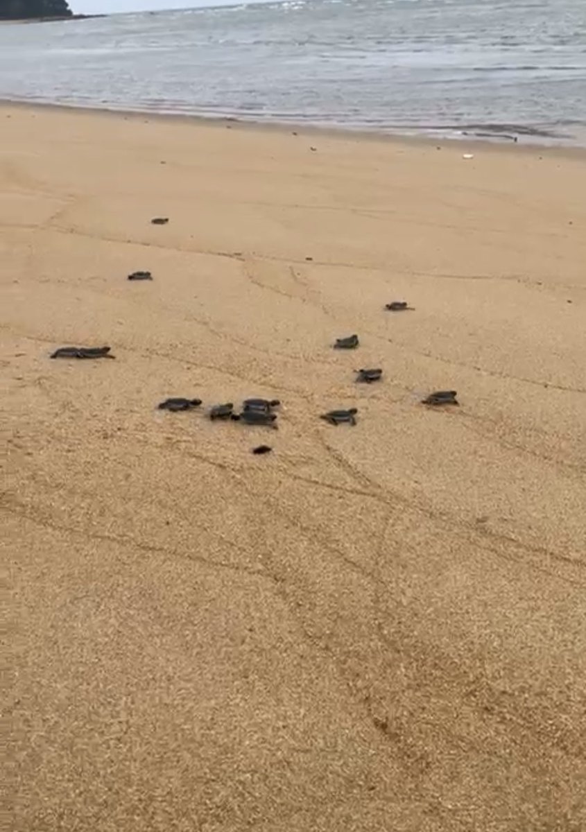 Whitburn Sixth Form 💙 tweet media