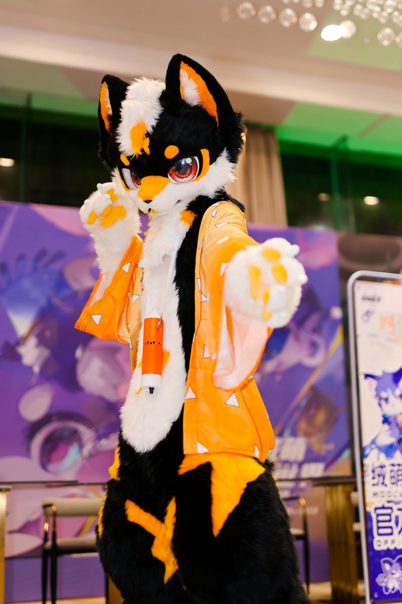 Return picture from the single owner！