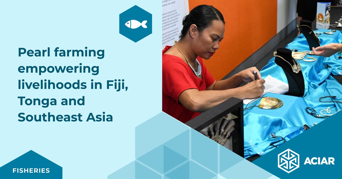 🦪 Women in coastal communities in Fiji, Tonga and Vietnam are building sustainable livelihoods through mabé pearl farming and the creation of high-quality handcrafted jewellery and artisan pieces.

Read more: ow.ly/4EQ450WryuA

#SDG17