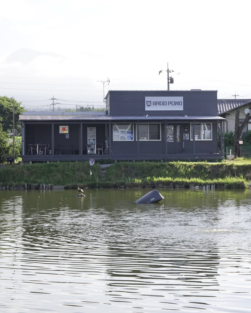 BRGDPOND's tweet photo. 7月19日(土)BRGD POND RENEWAL OPENのお知らせ

平素よりBRGD PONDをご利用いただきまして誠にありがとうございます。
明日BRGD PONDがリニューアルOPENいたします。リニューアル後も、引き続きご愛顧の程よろしくお願いいたします。

@bassbrigadejp 

#brgdpond #ブリゲードポンド #バス釣り https://t.co/kpfhPxxMWY