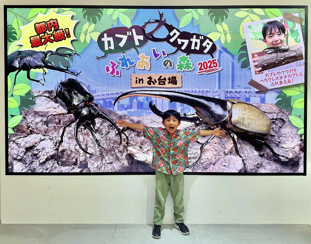 joypolis_event's tweet image. #カブクワ台場 🌳
わくわくの夏休みと3連休がやって来る～🤩
📢灼熱知らず！涼しくて快適！
📢夏休みの思い出づくり！
ならば迷わずお台場のカブト・クワガタ ふれあいの森へ😍
8月31日まで開催中🙆
tokyo-joypolis.com/event/fureaino…
#ジョイポリス