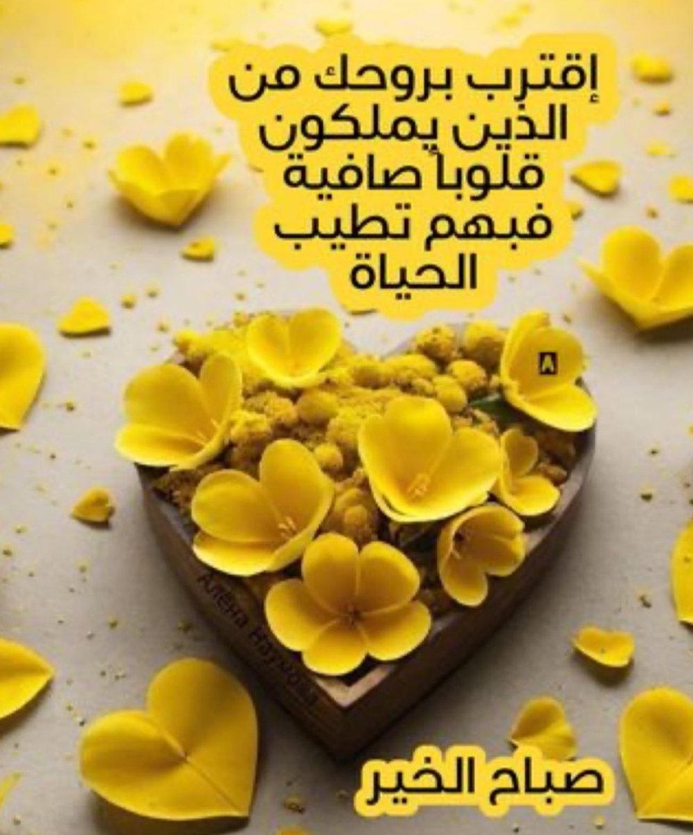 #رســــالــة_اليـــوم

من لطيف التدبر ..
 
فنادى في الظلمات 

حتى في بطن الحوت كان هناك أمل ونحن نفقد الأمل 

في أبسط الأمور ..

علق قلبك بالله ولن تخيب بإذن الله🤍🦋
#صباح_الخير