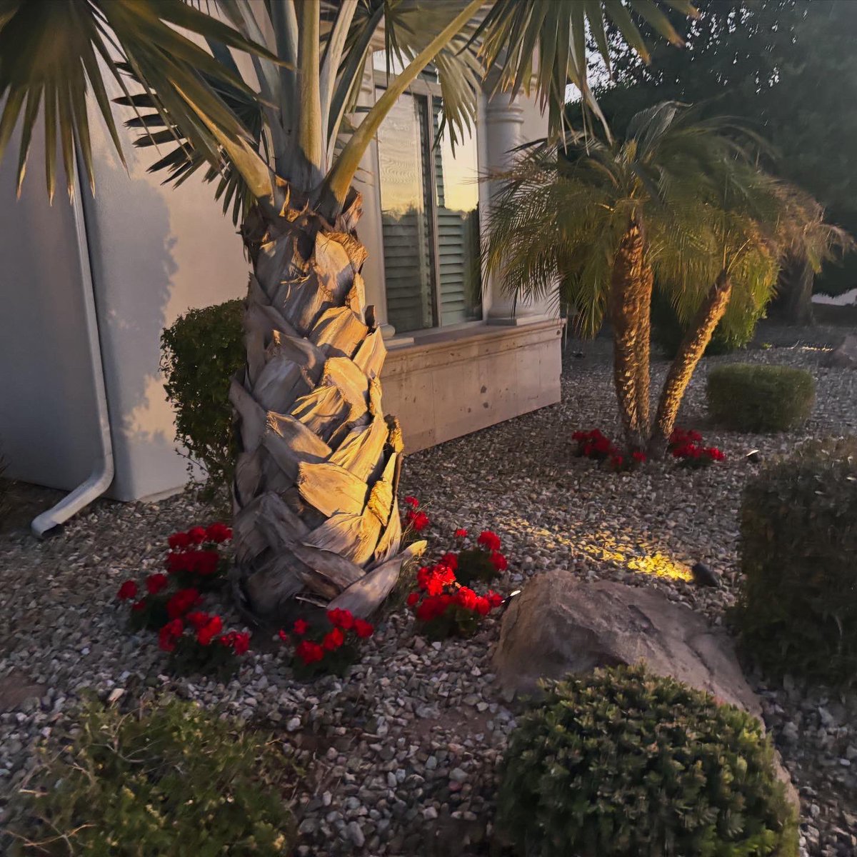 AliceMartin8's tweet image. Because beauty should greet you before the front door. 🌹☀️#designwithpurpose #potscapers